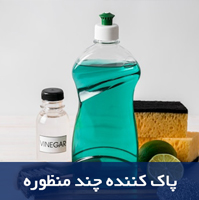 پاک-کننده-چند-نظوره